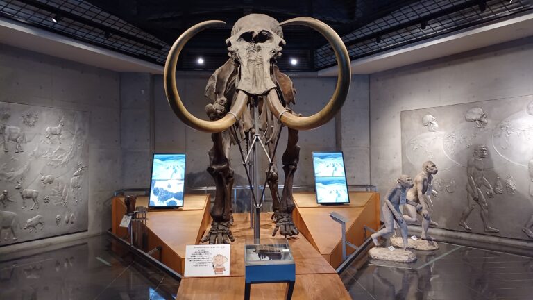 岩宿遺跡、岩宿博物館レポ 小野寺美奈 税理士事務所